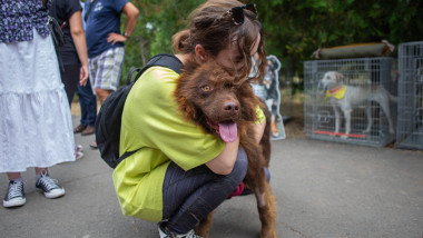 O fată îmbrățișează un câine în cadrul unui târg de adopții de căței organizat în București pe 22 august 2021.
