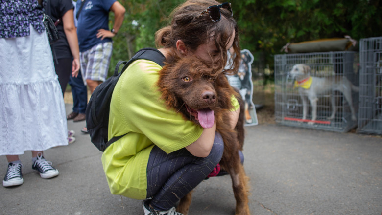 O fată îmbrățișează un câine în cadrul unui târg de adopții de căței organizat în București pe 22 august 2021.