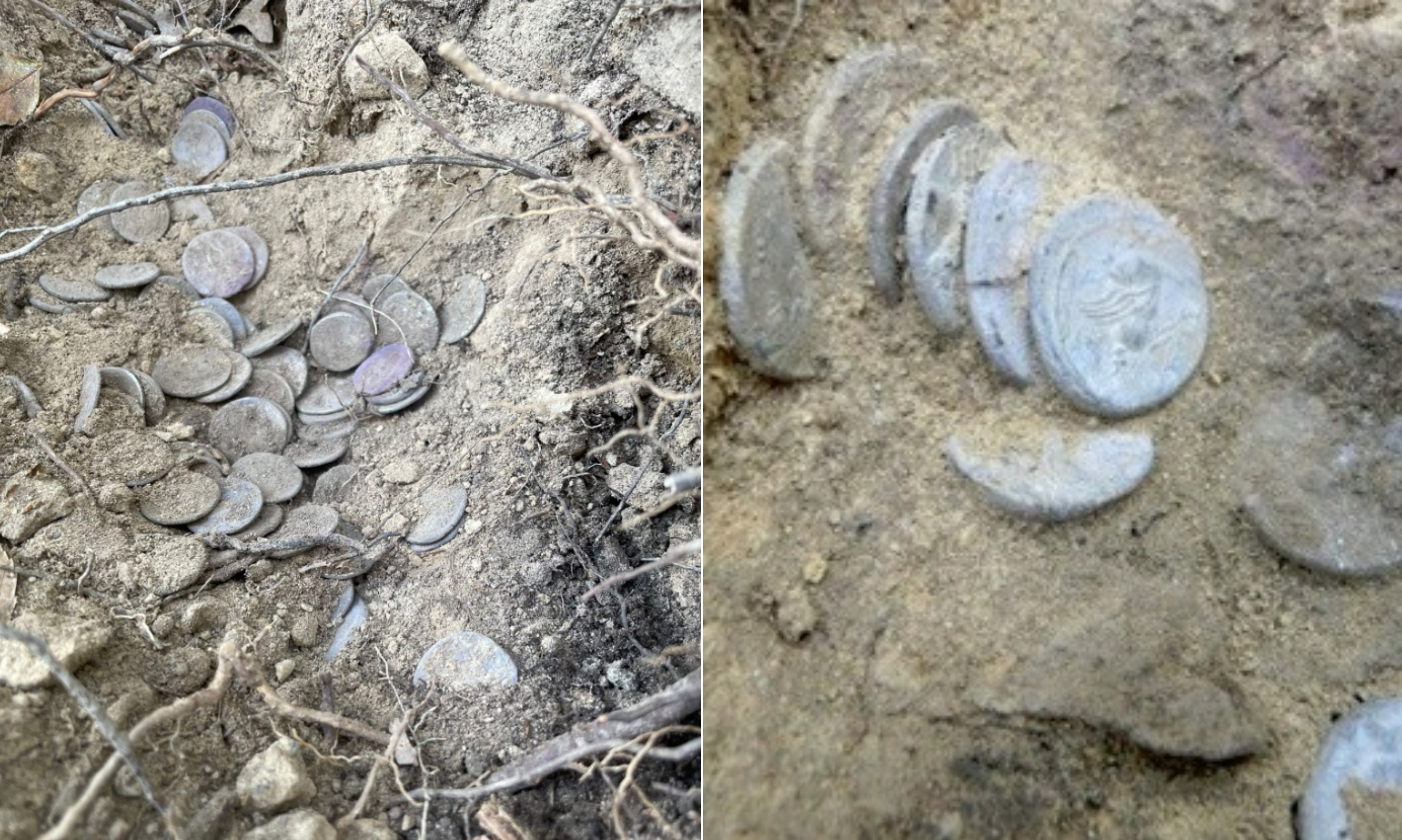 Comoară cu sute de monede romane de argint din vremea lui Iulius Cezar, descoperită în Toscana. Cui îi aparținea tezaurul