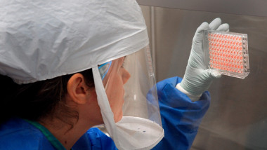 O angajată a unui laborator monitorizează mostre de virusuri ai gripei aviare pe 3 mai 2013.