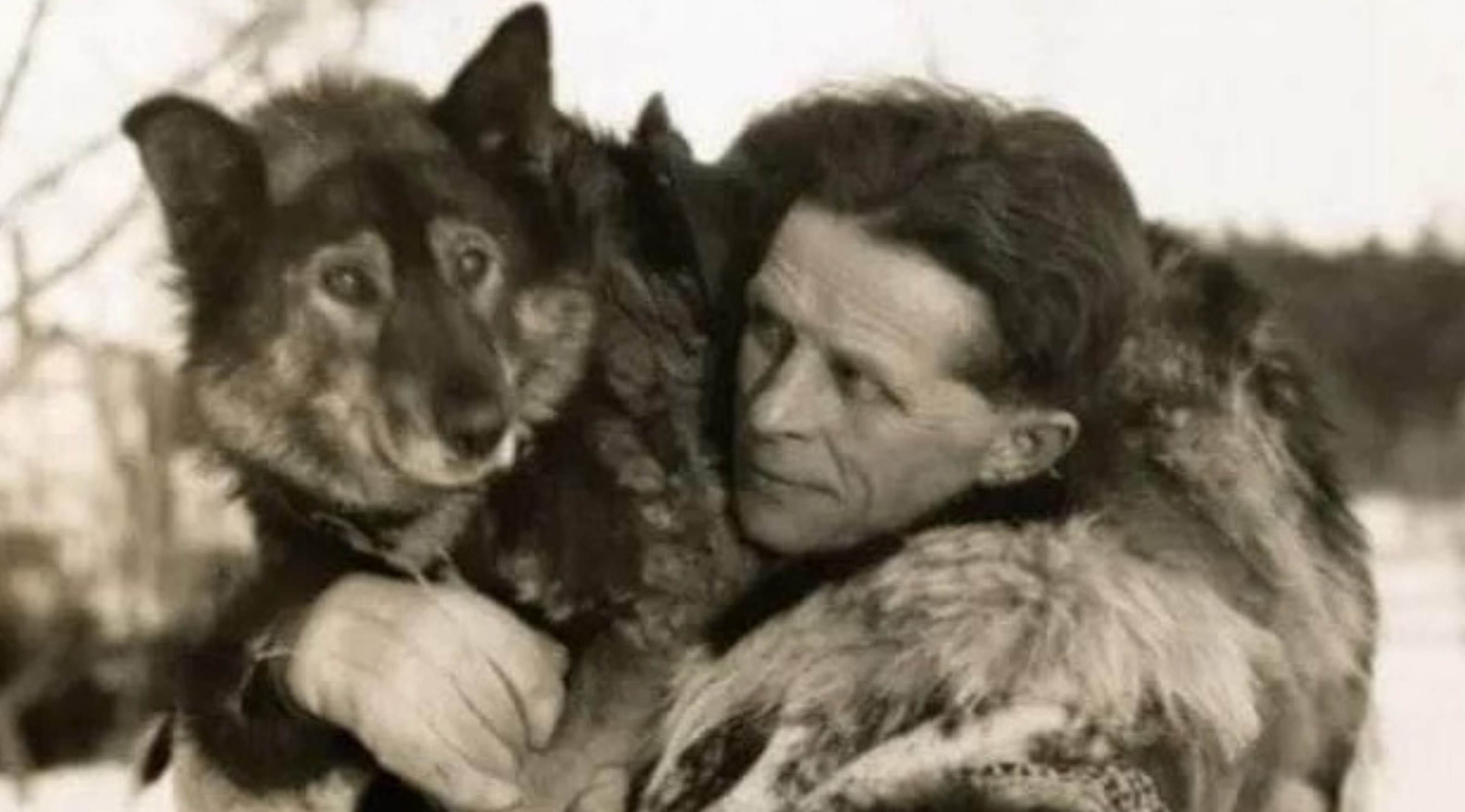 Povestea unui husky siberian care a salvat populația unui orășel american devastat de o epidemie de difterie