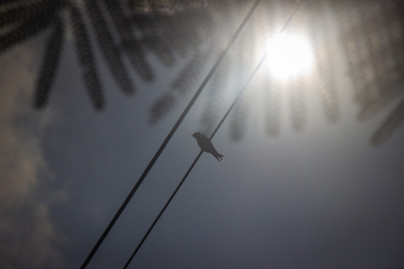 Hybrid solar eclipse in Indonesia