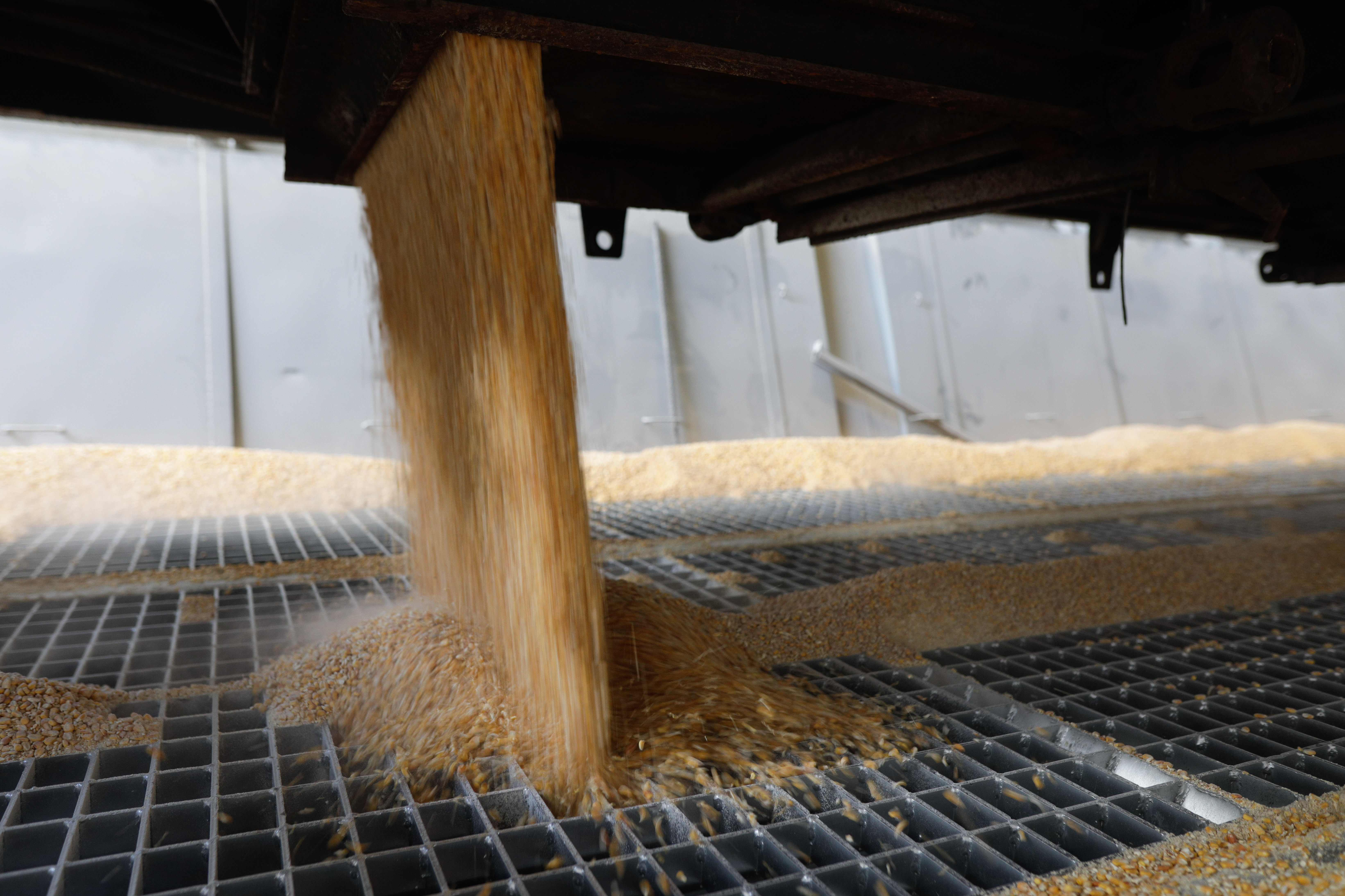 Guvernul aprobă alocarea celor 20 de milioane de euro pentru fermieri. Ciucă: Urmează un al doilea pachet de la Comisie