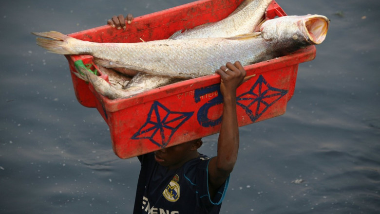 pescar din republica guineea