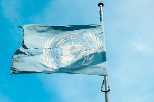 ONU trimite în SUA o echipă de experţi în rasism, creată după moartea afro-americanului George Floyd