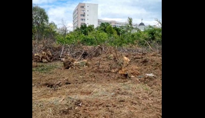 Reprezentanţii USR: În IOR a avut loc o catastrofă ecologică. Muncitorii nivelează, nu mai au ce să taie