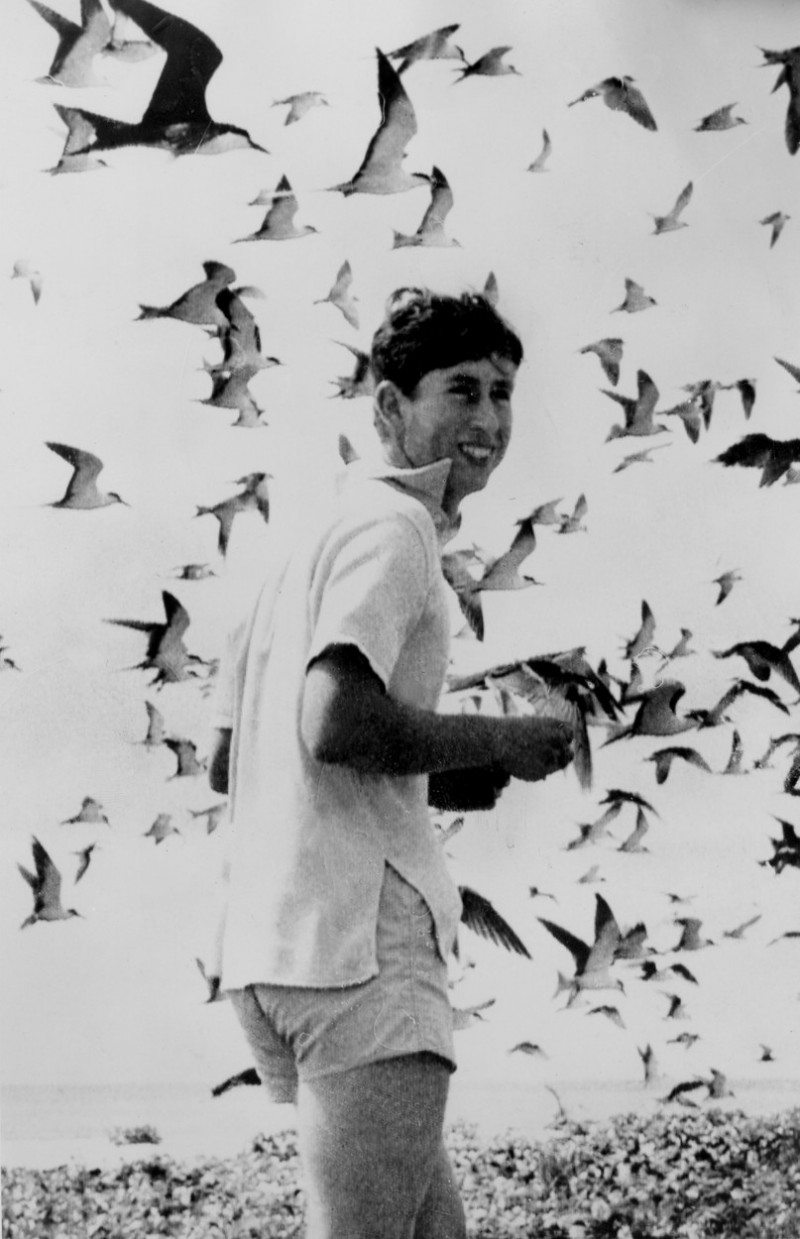 Prince Charles surrounded by Sooty Terns in Queensland Australia 1966