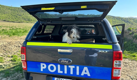 Două persoane care au abandonat un câine într-o comună din Bacău au fost amendate cu 8.000 de lei