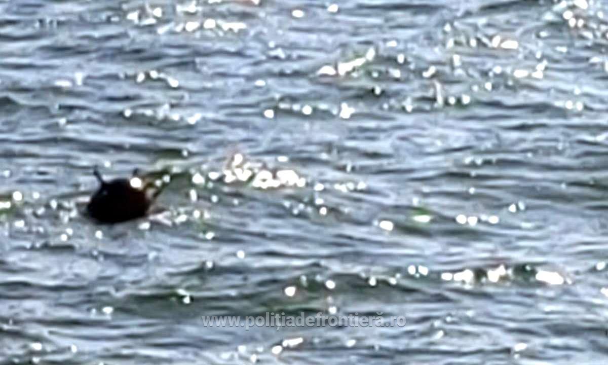 Pericol pe mare. O mină marină a fost descoperită în apropiere de Sulina