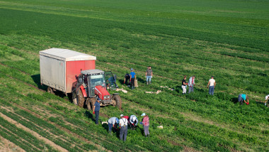 tractor și muncitori agricoli pe un câmp agricol din Anglia