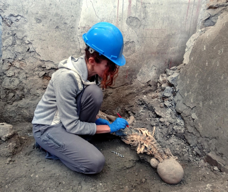 Found the skeletons of two victims of an earthquake in Pompeii