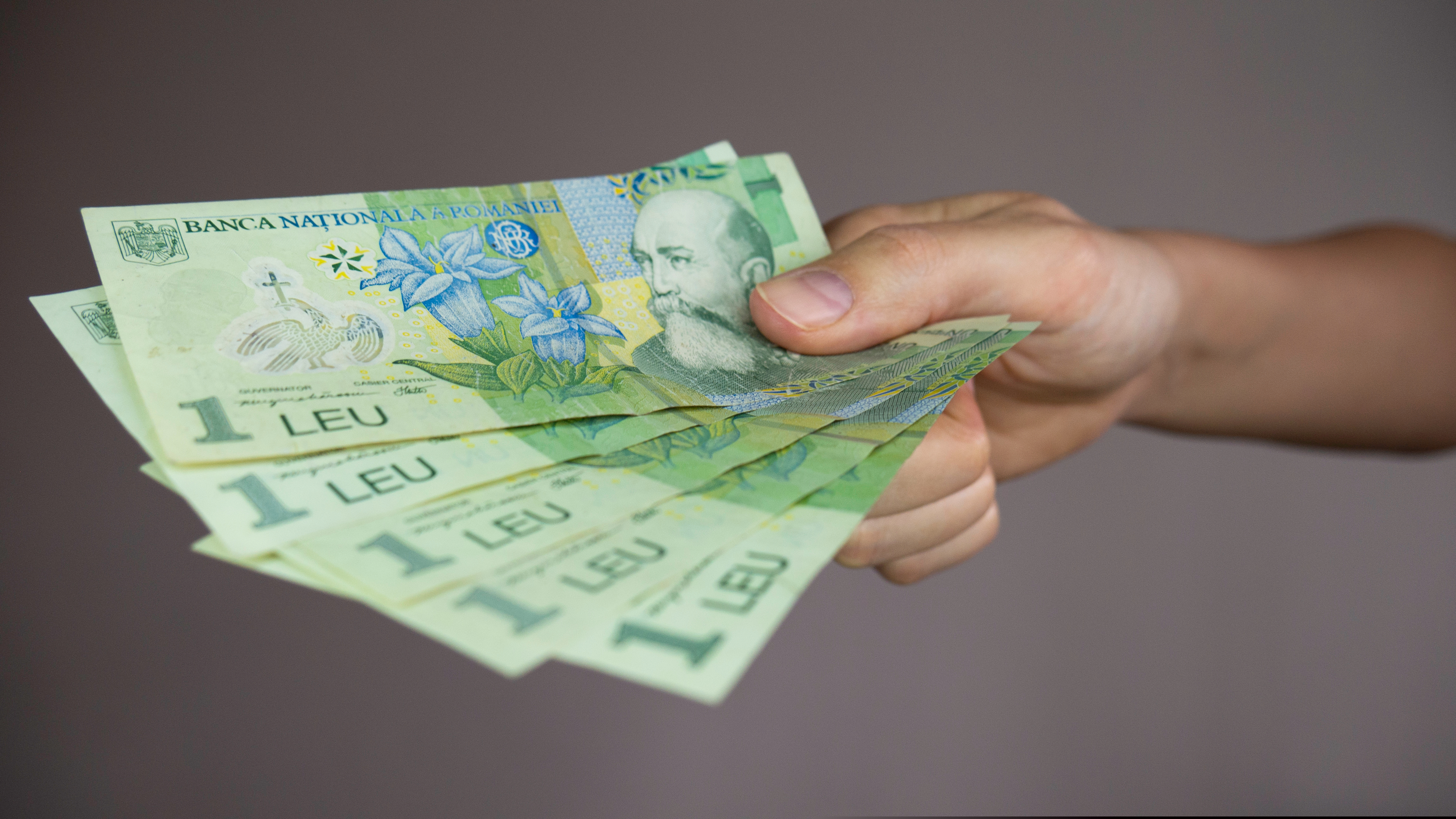 Motivul pentru care un șofer de TIR din Arad a primit salariul în monede de 50 de bani și bancnote de un leu: "O bătaie de joc"