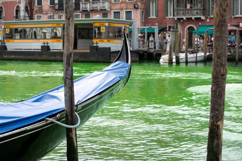 Venice, Grand Canal water turns phosphorescent green