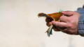 Man hand counting money for a bribe or tips. Holding EURO banknotes on a blurred background, EURO currency