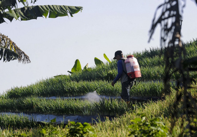 Terraced plantations of Indonesia