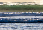 EXCLUSIVE: ‘It doesn’t look real’: 12 dolphins captured surfing the same wave in incredible shot