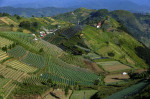 Terraced plantations of Indonesia