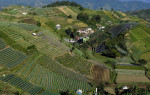 Terraced plantations of Indonesia