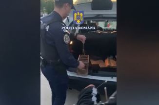 Un bărbat din Galați prindea ilegal sticleți. Păsările au fost eliberate de polițiști