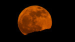 The full red Strawberry moon rises from east of the San Gabriel mountains CA/USA, Saturday June 3. 2023. According to NASA, the moon will reach its full brightness on Saturday night just before midnight but keep your eyes on the skies all weekend as the