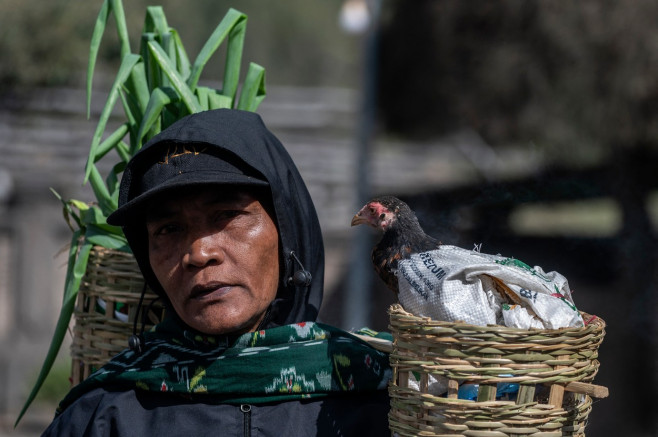 Ritual de sacrificare pe vulcanul Bromo din Indonezia. Foto Profimedia (4)