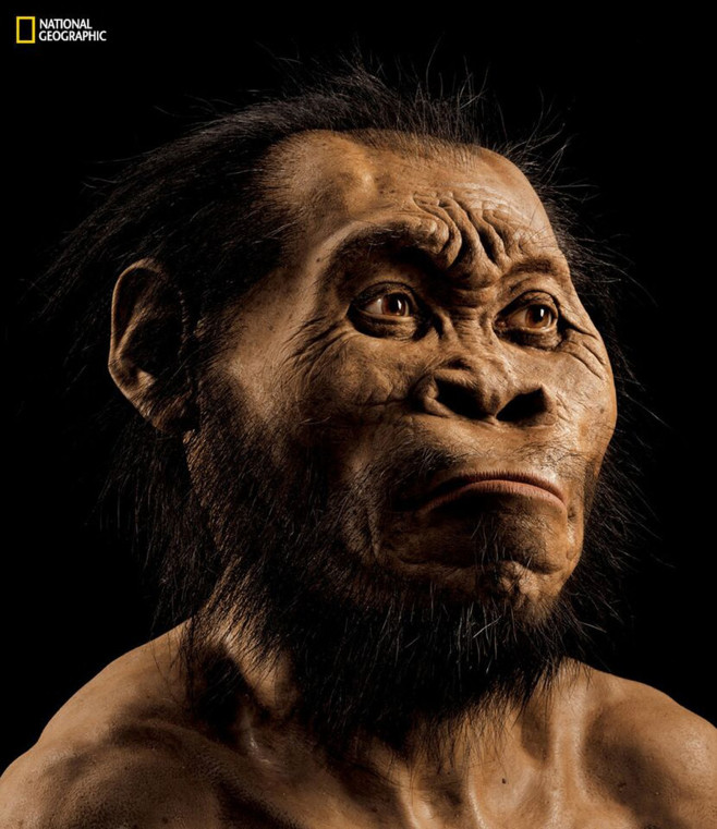 Descoperire Homo naledi