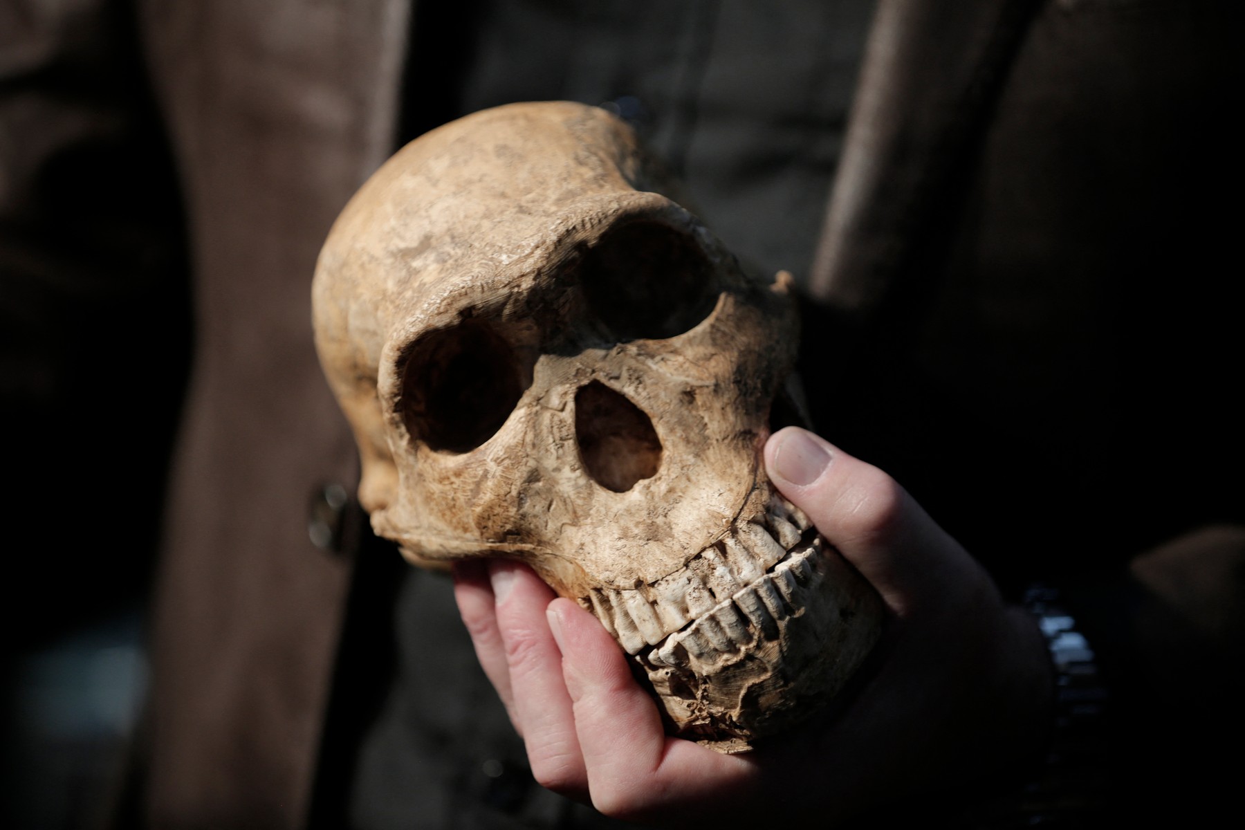 Specia misterioasă care își îngropa morții și sculpta simboluri cu 100.000 de ani înainte de primii oameni moderni