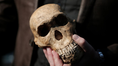 Descoperire Homo naledi