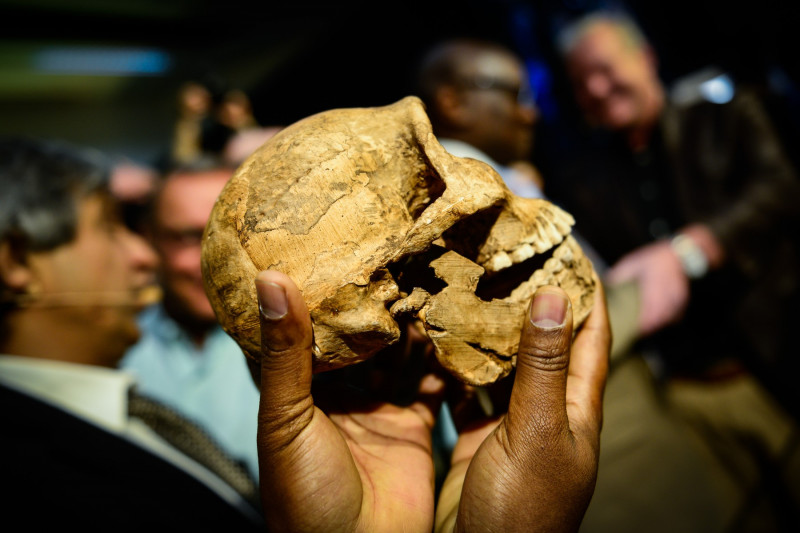 Descoperire Homo naledi