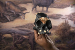 Descoperire Homo naledi