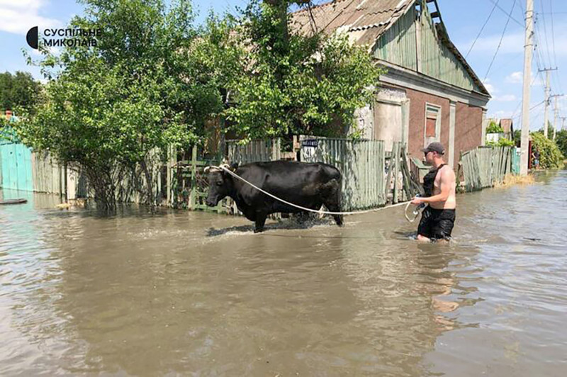Flood rescue Kherson region