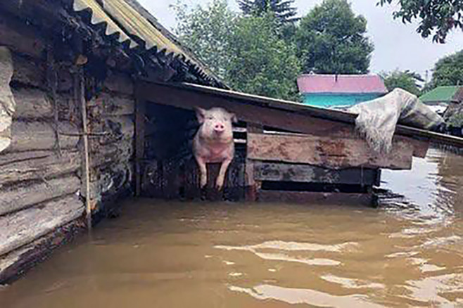 Flood rescue Kherson region
