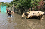 Flood rescue Kherson region