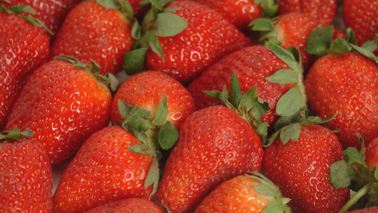 Cultivatorii de căpșune vor primi sprijin financiar de la stat