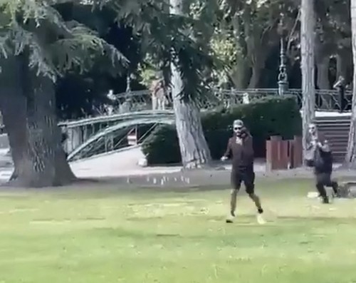 Copii, cu vârste de 2 și 3 ani, înjunghiați într-un parc din Franța. Momentul în care atacatorul este arestat - VIDEO