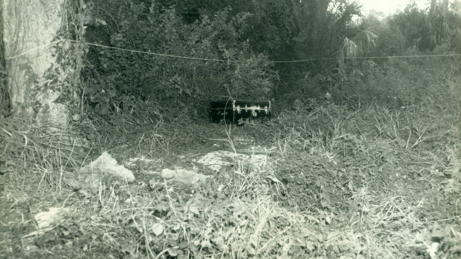 Poliția a aflat după 53 de ani cine este femeia moartă găsită într-o pădure. Însă misterul „doamnei din cufăr” se adâncește și mai mult