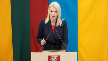 Președintele interimar al Senatului Alina Gorghiu vorbește la reuniunea șefilor de parlamente din țările NATO de la Vilnius pe 2 iunie 2023.