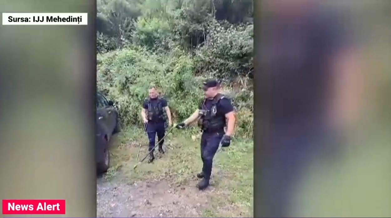 VIDEO Momente de panică la o pensiune din Mehedinți din cauza unei vipere cu corn