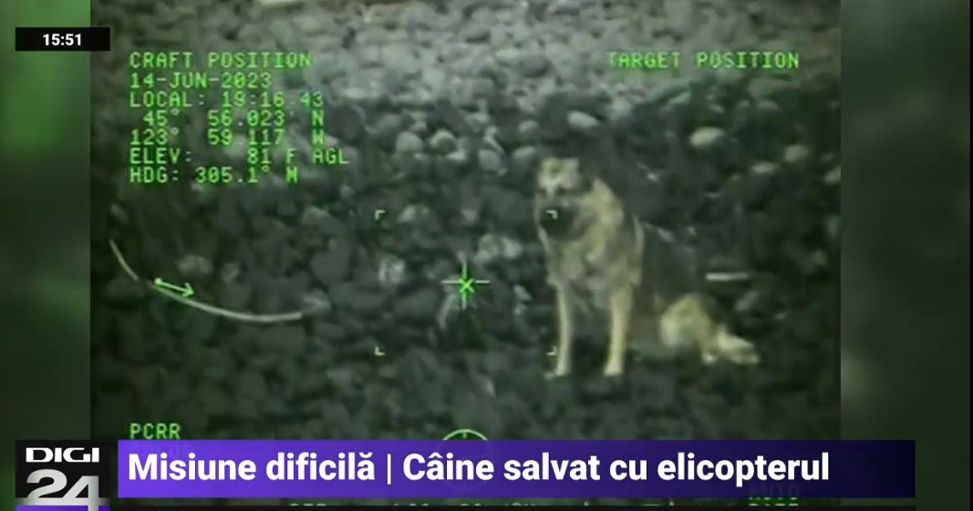 VIDEO Câine salvat cu elicopterul, după ce a căzut 90 de metri în gol de pe o stâncă