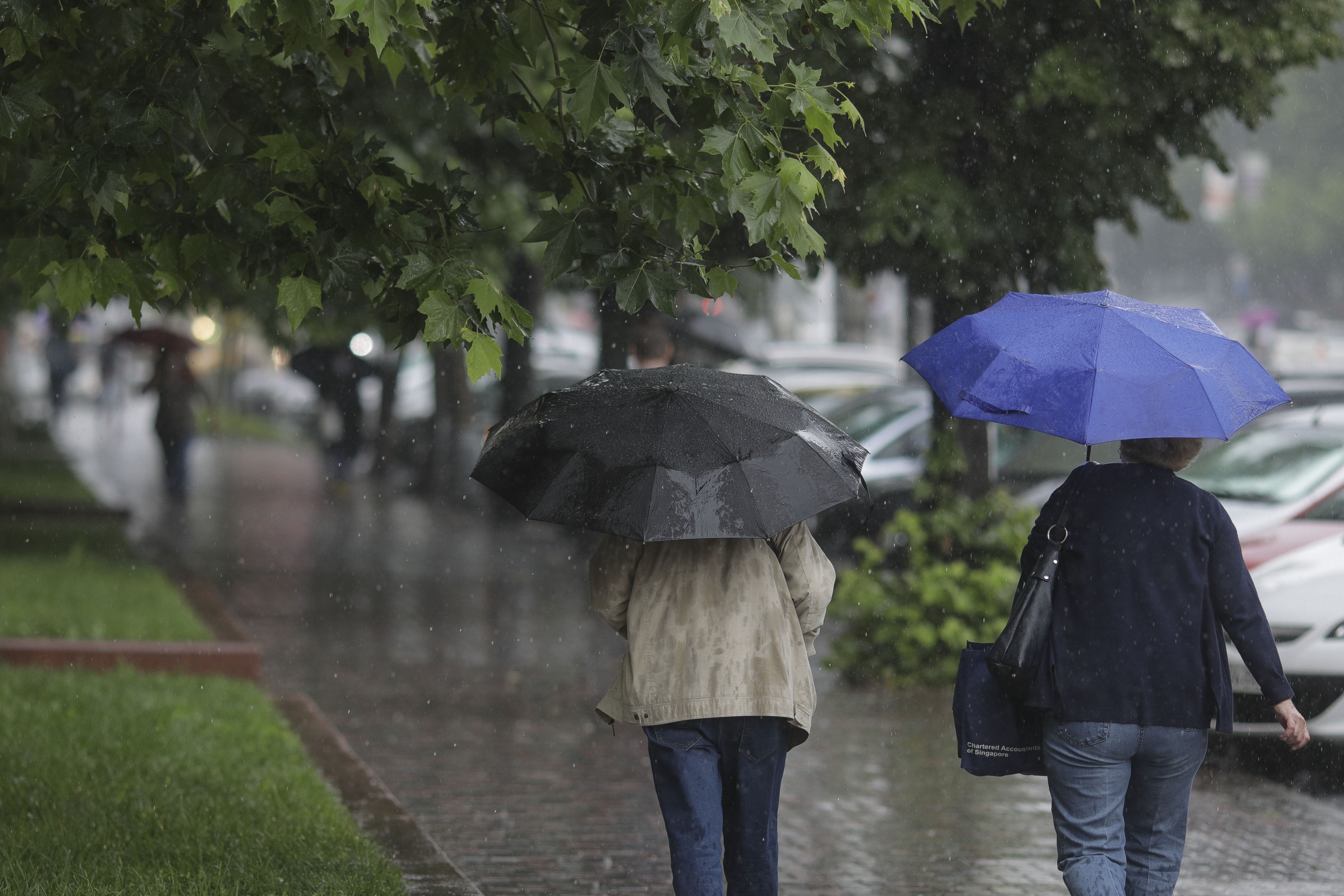 Prognoza meteo pentru următoarele două săptămâni. Cum va fi vremea în fiecare regiune a țării