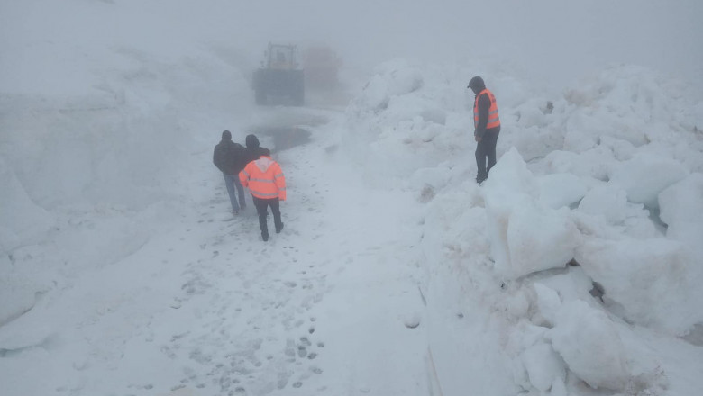 transalpina zapada