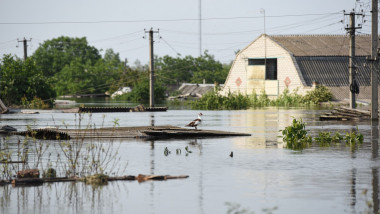 O zonă inundată din provincia ucraineană Herson, pe 8 iunie 2023.