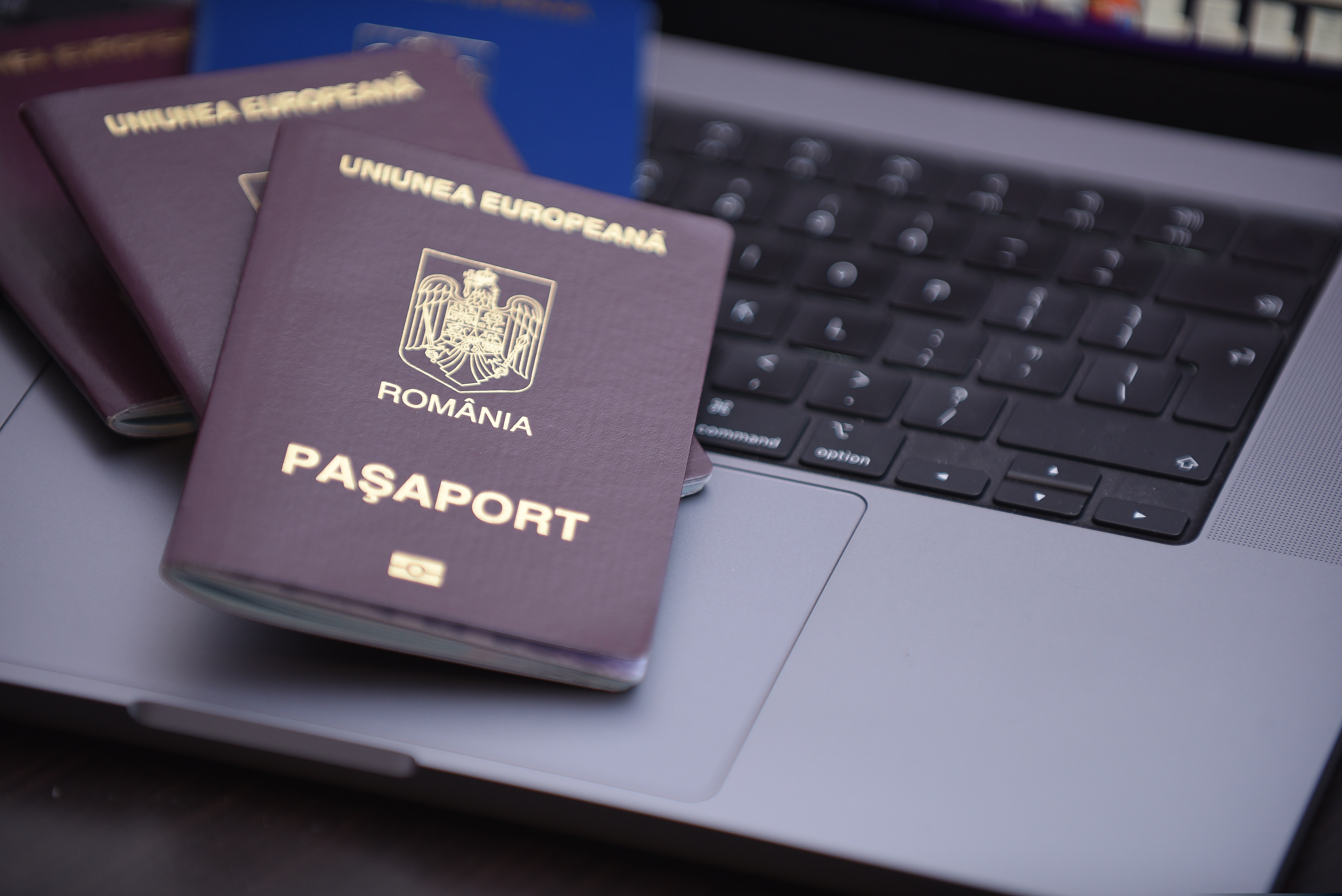 Un neamț s-a dat drept român pentru a scăpa de închisoare. Cum a fost prins „Vasile”