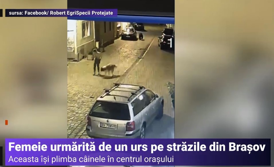VIDEO O femeie s-a trezit urmărită de un urs în timp ce își plimba câinele în centrul vechi din Brașov