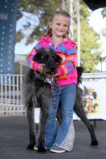 Lookin ruff! The World's Ugliest Dog Contest at the Sonoma-Marin Fair in Petaluma, California.