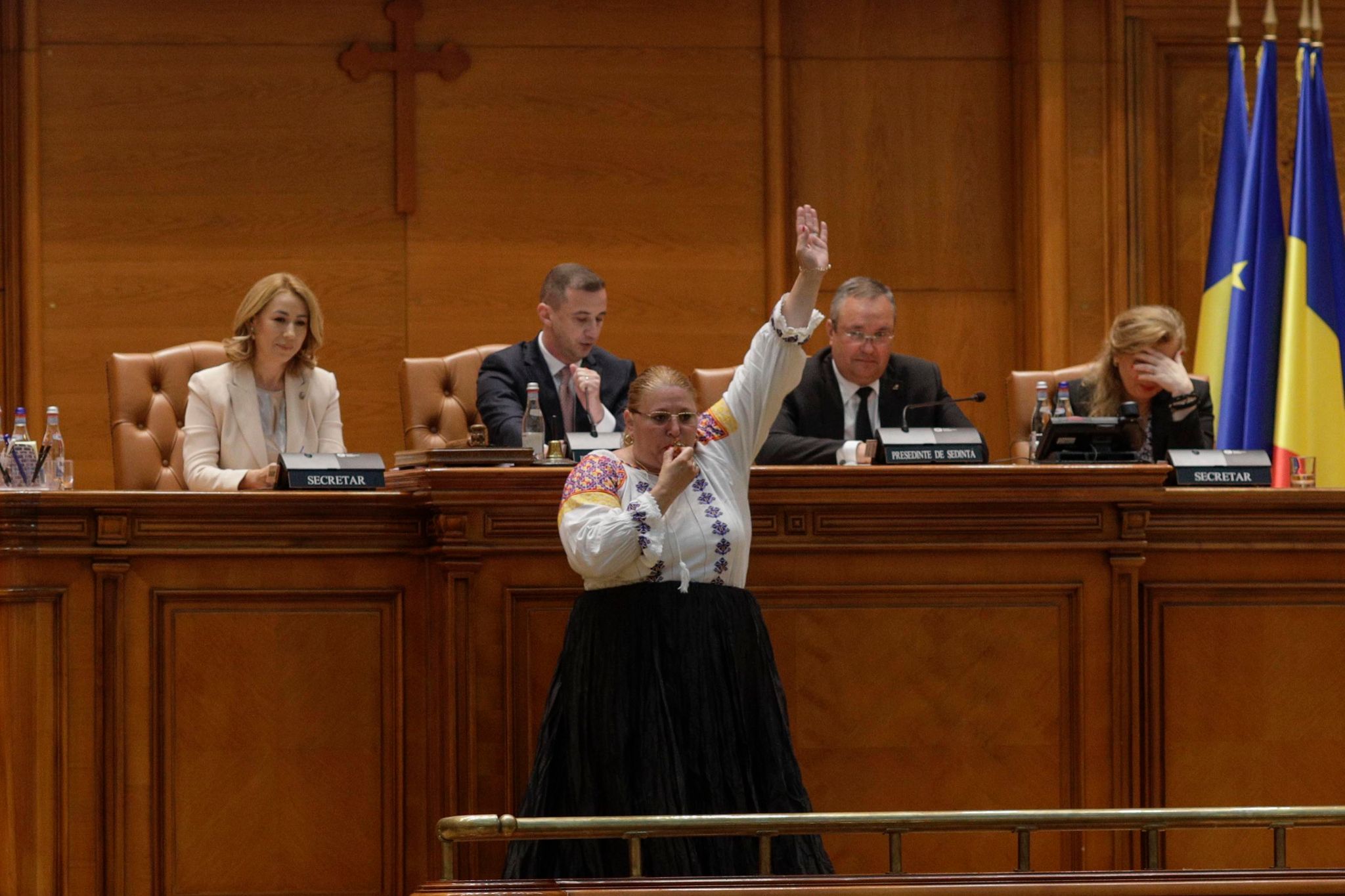 Proiect de lege pentru evaluarea psihiatrică a candidaților la alegerile parlamentare, după scandalul făcut de Șoșoacă în Parlament