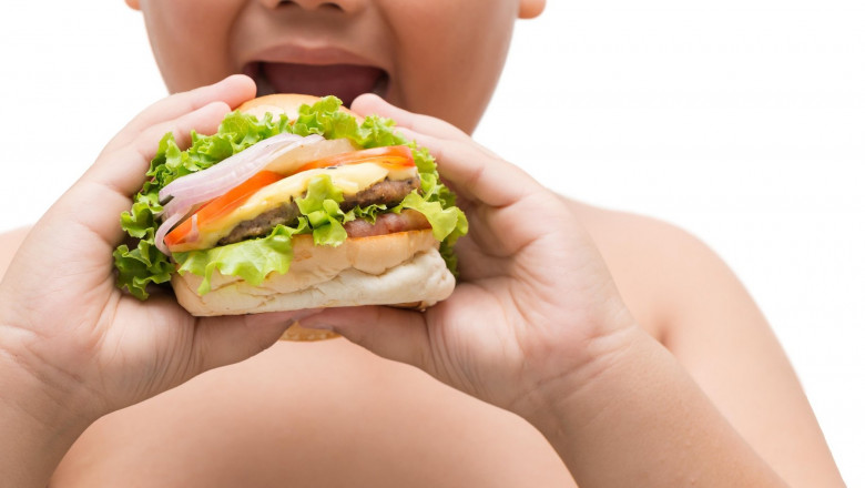 Homemade pork Hamburger in obese fat boy hand, concept junk food and diet