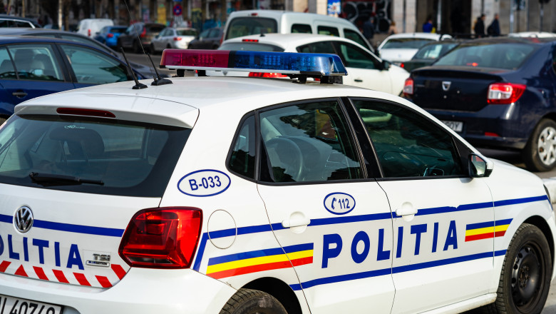 Șase pistoale și trei puști, plus muniție, găsite în casa unei femei de 75 de ani din Timișoara