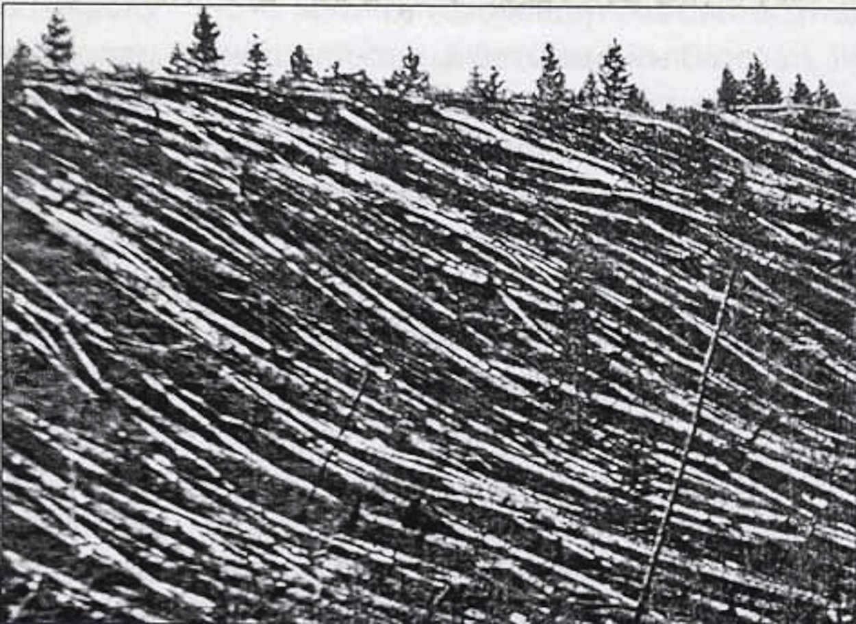Fenomenul Tunguska: 115 ani de la cea mai puternică explozie din istorie, produsă pe cerul Siberiei