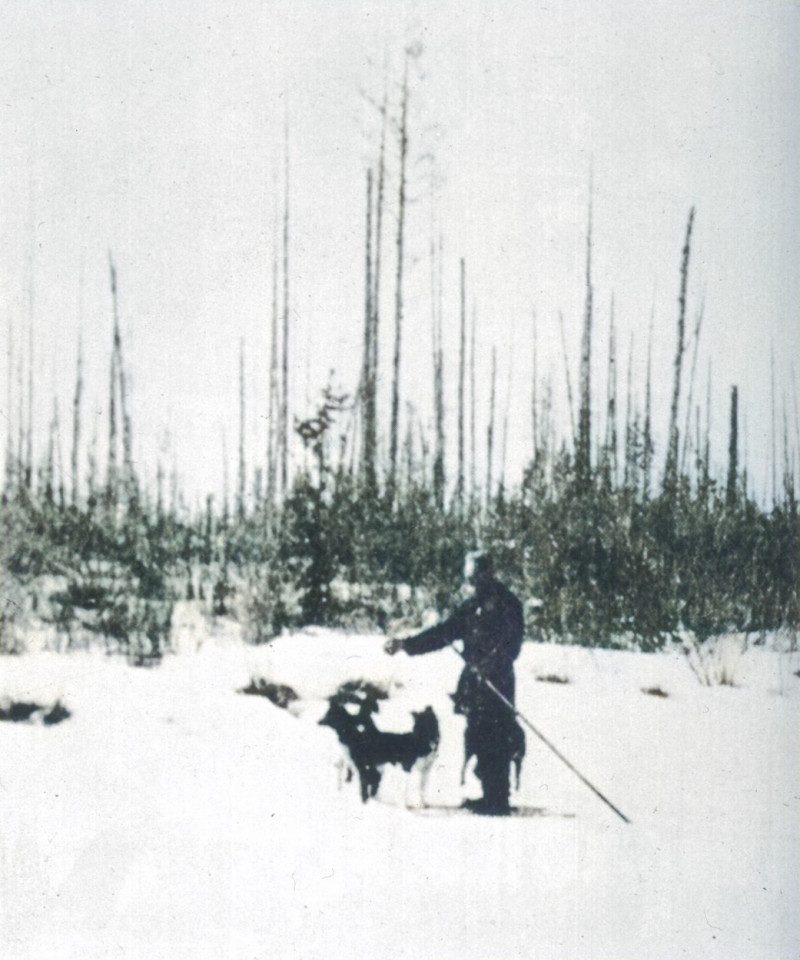 TUNGUSKA / KULIK